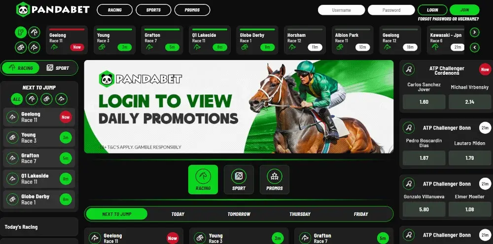 PandaBet screenshot